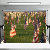Aperturee - Aperturee American Flags Standing Grassland Mourn Backdrop